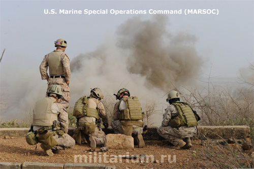 MARSOC_1