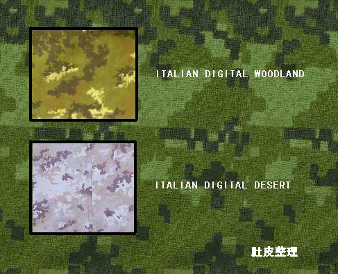 italian-digital_1