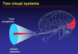 VisualSystems_small